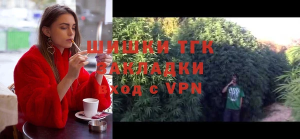 стафф Вяземский