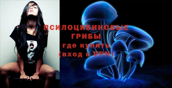 стафф Вяземский