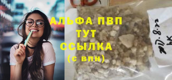 стафф Вяземский