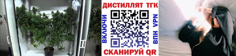 как найти закладки  Лосино-Петровский  Дистиллят ТГК концентрат 